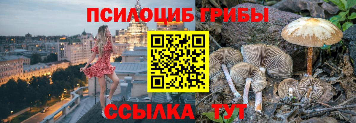 даркнет сайт  Вход с VPN  Королёв  Псилоцибиновые грибы ЛСД 